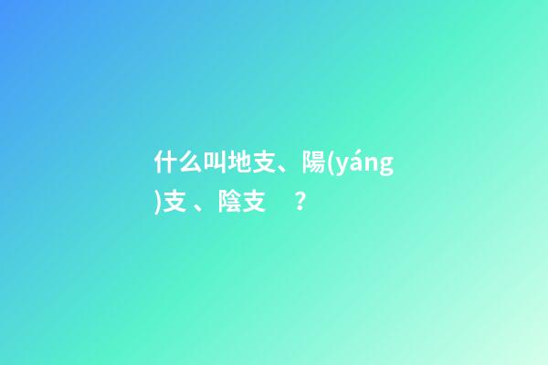 什么叫地支、陽(yáng)支、陰支？
